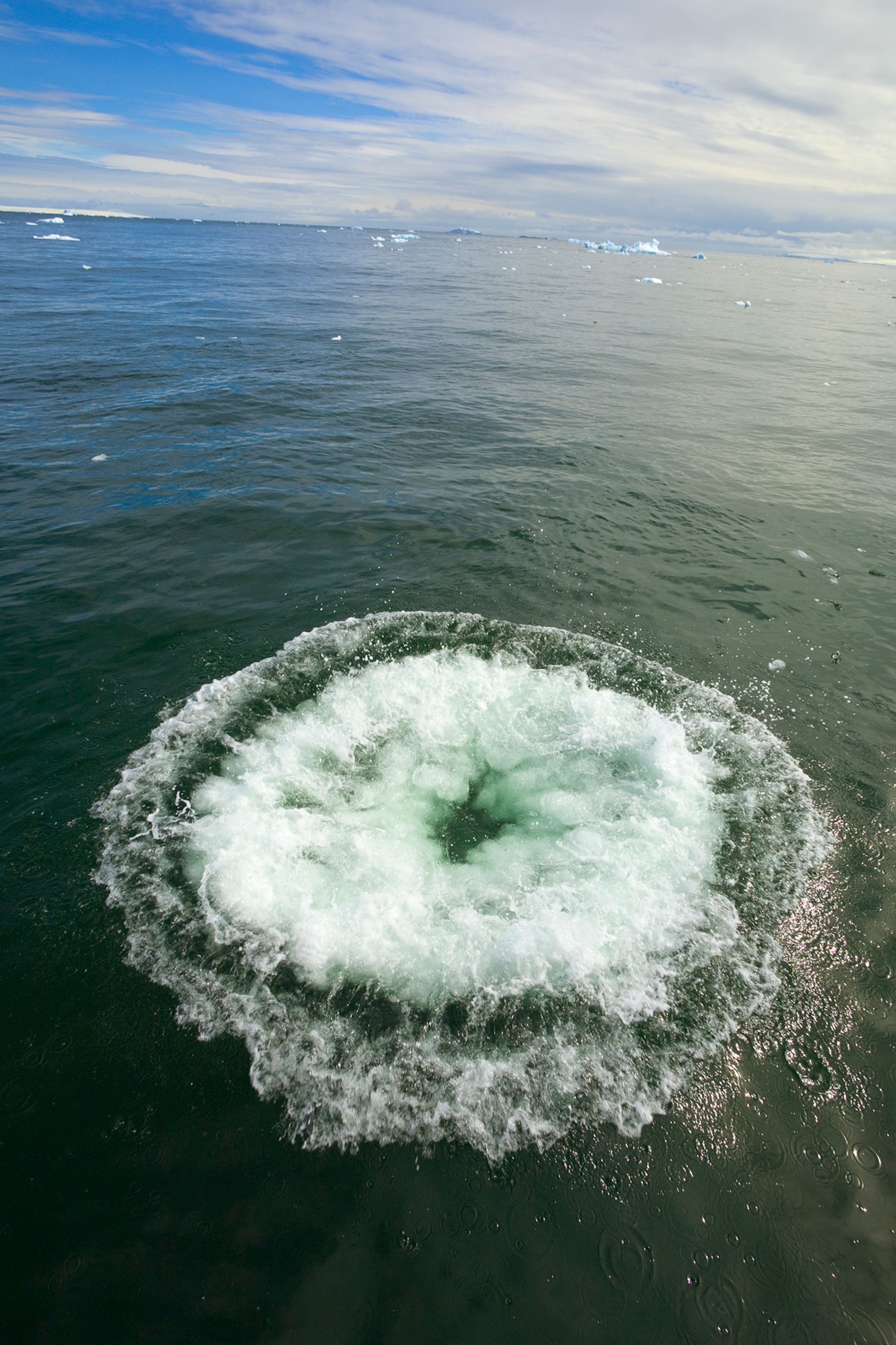 Bubbles on the surface of the water. 