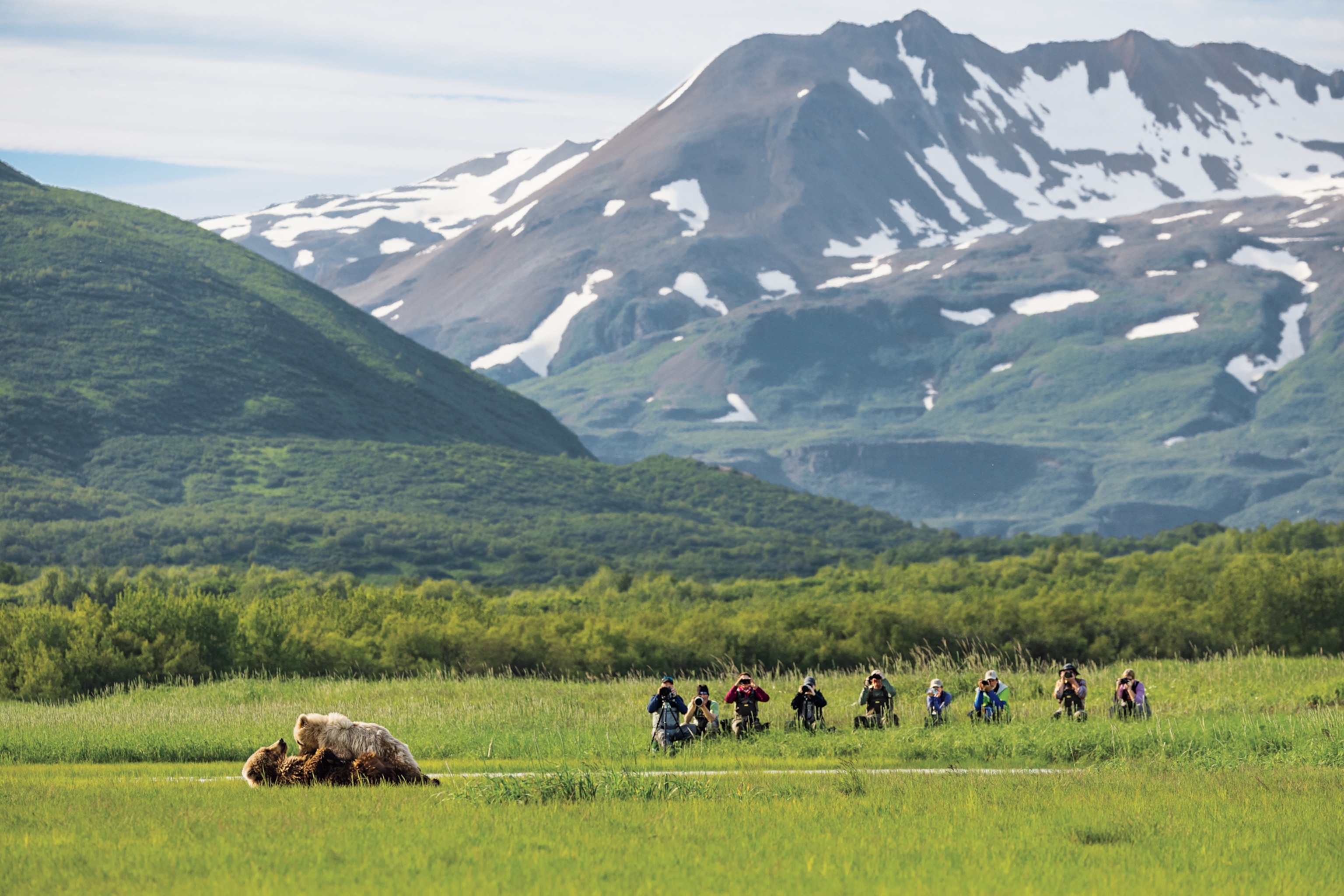 A line of tourists photograph two bears wrestling in Katmai National Park