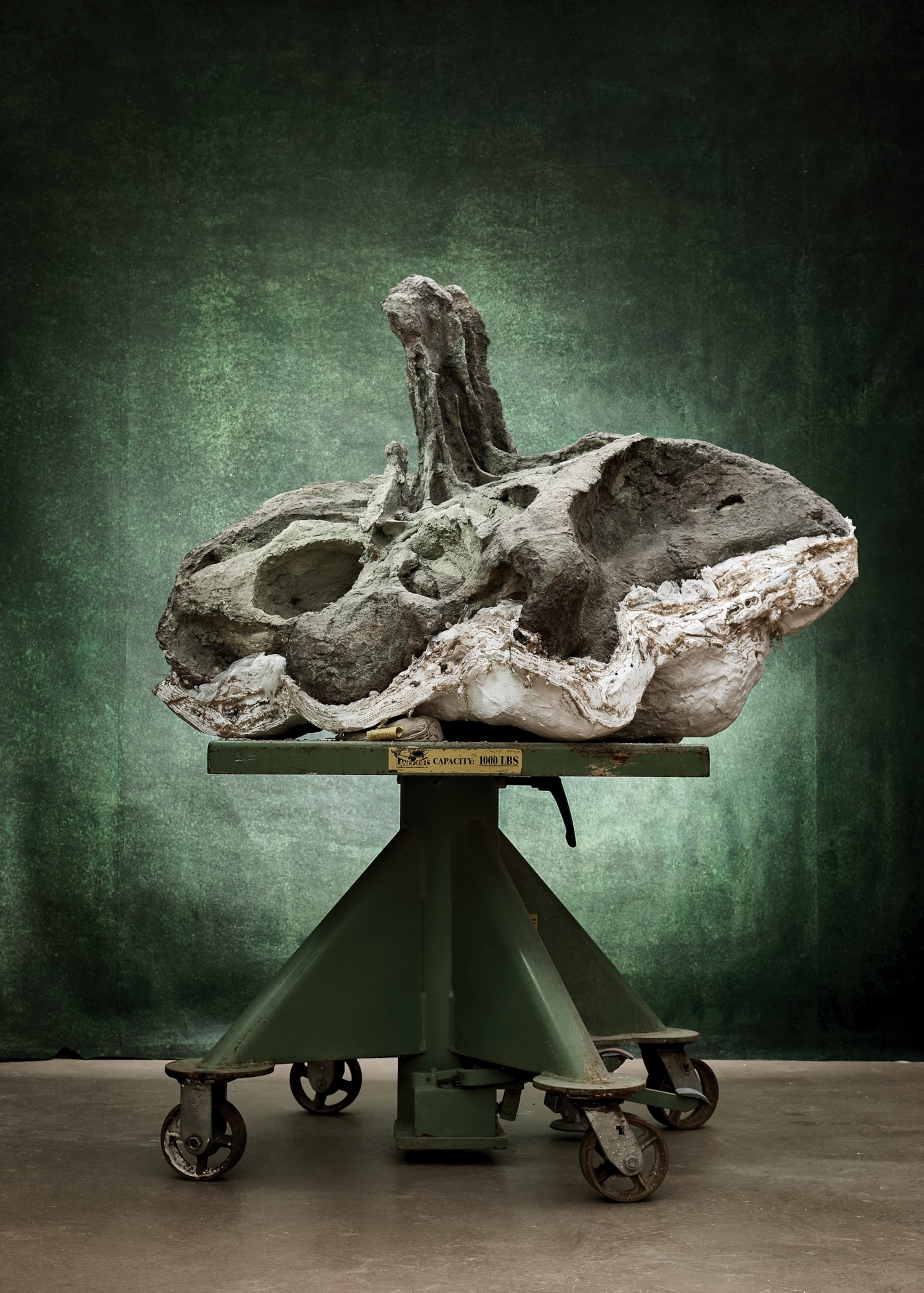 The sacrum of a dinosaur sits, spotlighted, on half of its plaster casting up on a display in front of a textured, deep green backdrop.