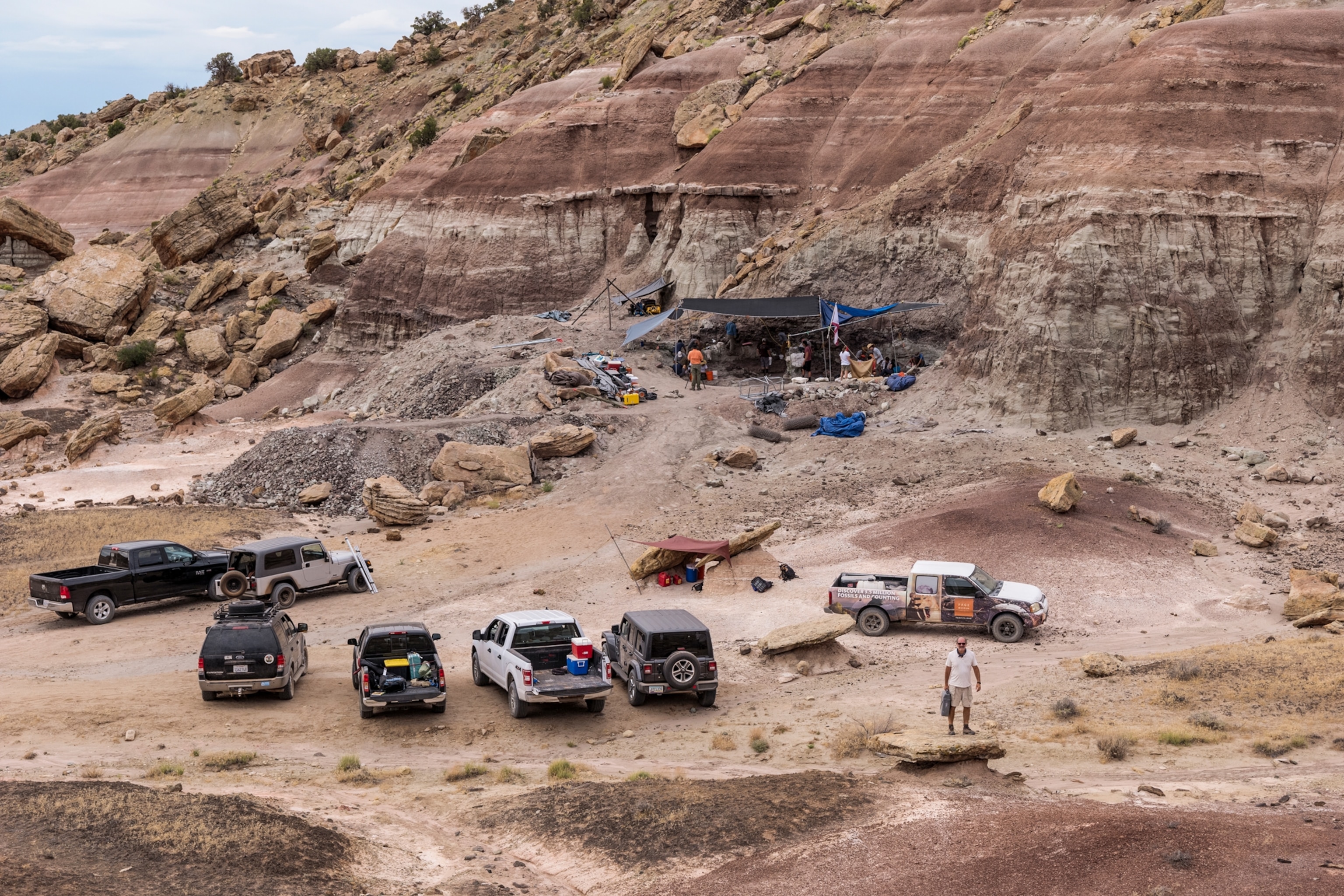 Braving scorching heat and visits from mountain lions and rattlesnakes, a team of scientists and volunteers led by Chiappe (foreground) recovered tons of dinosaur fossils from layers of rock laid down over millions of years.