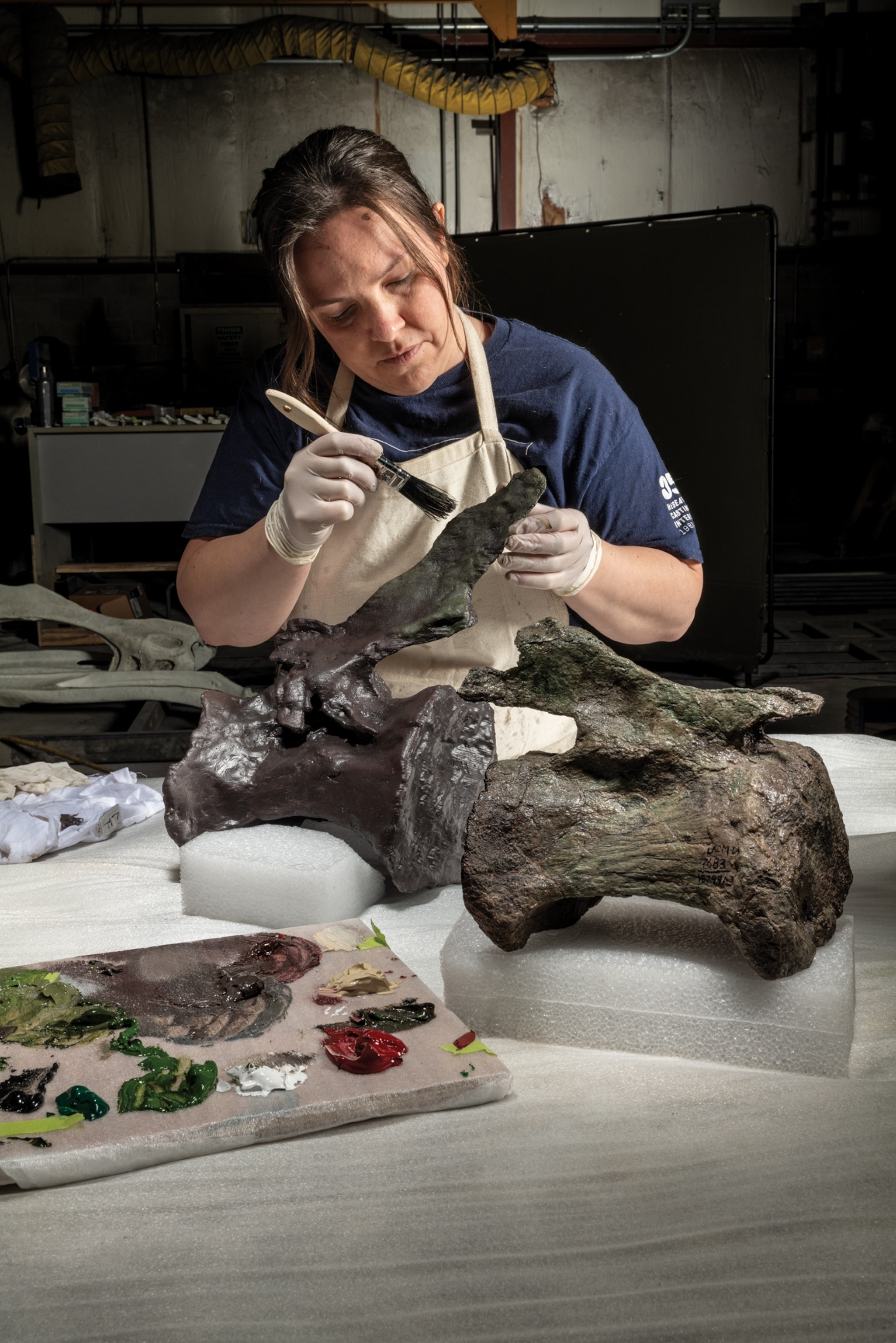 A woman in a blue t-shirt and white apron carefully paints dinosaur bone replicas.