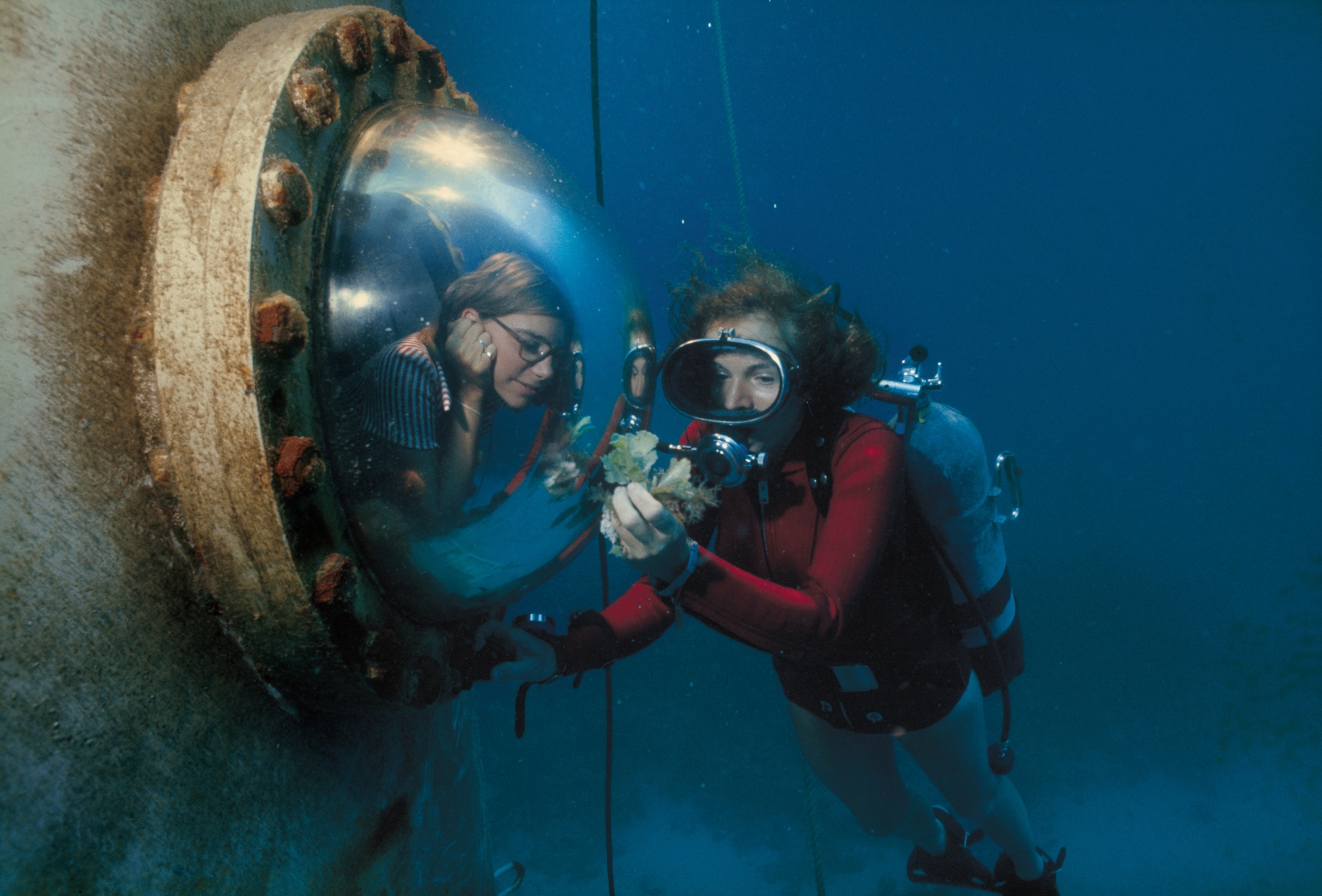 Sylvia Earle diving underwater